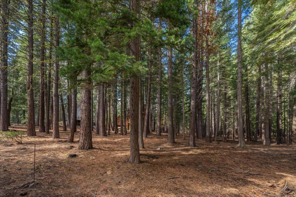 3Br Tahoe Donner Cabin With Hoa Perks Like Pools Hot-Tub Minutes To Trails Lake Golf Truckee Dış mekan fotoğraf
